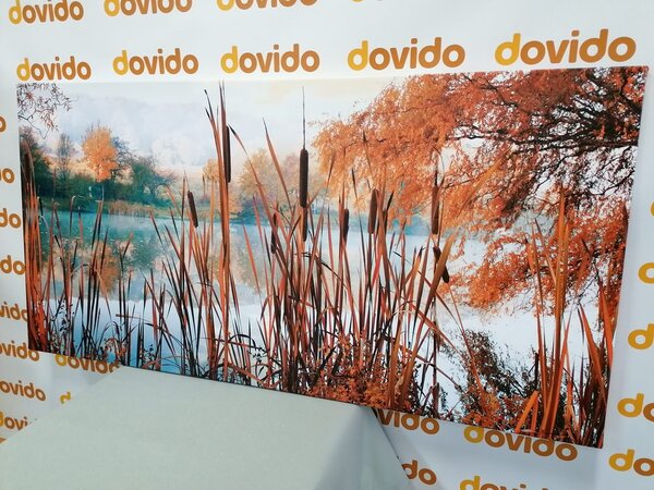 Quadro su tela – Fiume nel mezzo della natura autunnale