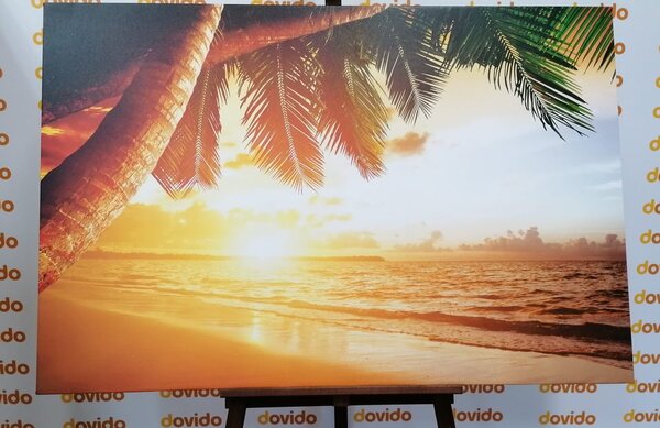 Quadro su tela – Alba sulla spiaggia caraibica