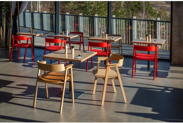 Sedia da pranzo di colore naturale in rovere massiccio con braccioli Flip – Gazzda