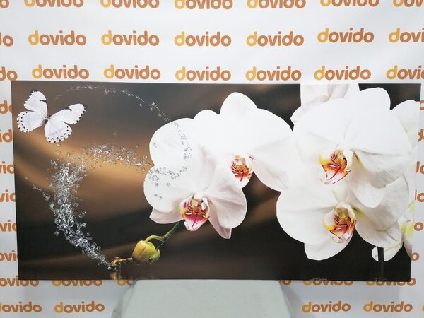 Quadro su tela – Orchidea e farfalla