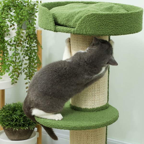 PawHut Albero per Gatti 91cm Albero Gioco con Letto per Gatti, Piattaforma Lana d'Agnello Verde | Aosom Italy