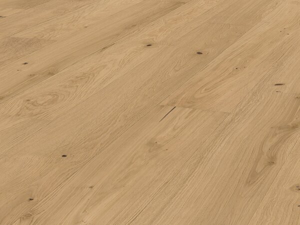 Pavimento in legno Meister Natureflex HD 100 2200 x 210 x 8 mm 20015 Rovere vivace spazzolato crema con verniciatura ultra opaca