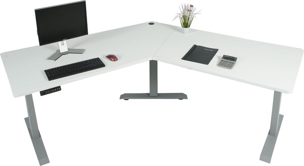 Scrivania MCW-D40, scrivania per computer, regolabile elettricamente in altezza a 120° ~ bianco, grigio