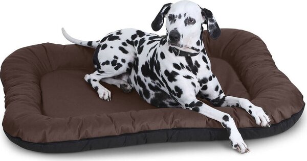 Letto per cani da interno e da esterno impermeabile marrone | quadrato | XL