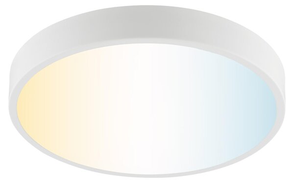 Plafoniera LED brillante Slimline Ø 39 x 5,5 bianco caldo-bianco freddo