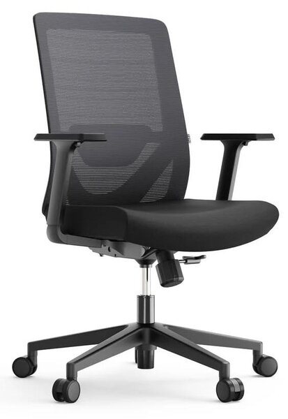 Sedia da ufficio Yaasa Chair Lite, ergonomica, nera – Portata 120 kg – Supporto lombare – Braccioli 1D – Schienale regolabile