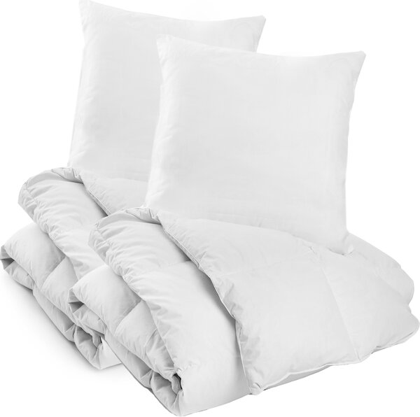 Piumino 135x200 cm 2 pezzi con 2 cuscini 80x80 cm coperta per tutto l'anno 2a scelta - caldo copripiumino ipoallergenico per chi soffre di allergie