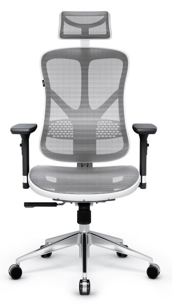 Sedia ergonimica Diablo V-Basic: Bianco Grigio