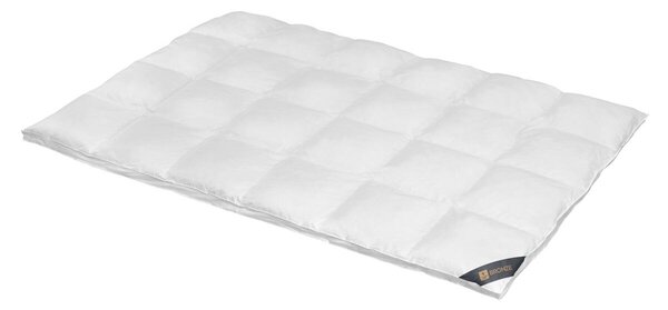 Spessarttraum Piumino Piumino in piuma d'oca Bronzo 240 x 220 cm Extra caldo