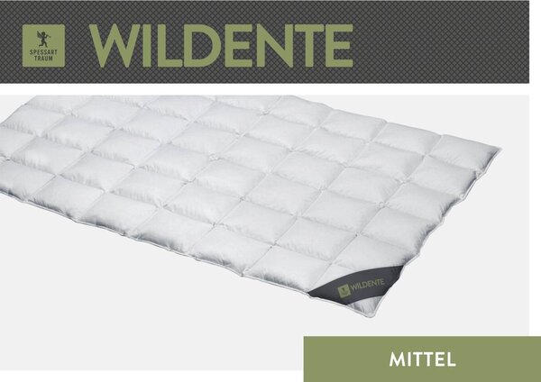 Spessarttraum Piumino Piumino d'oca selvatica 240 x 220 cm Medio
