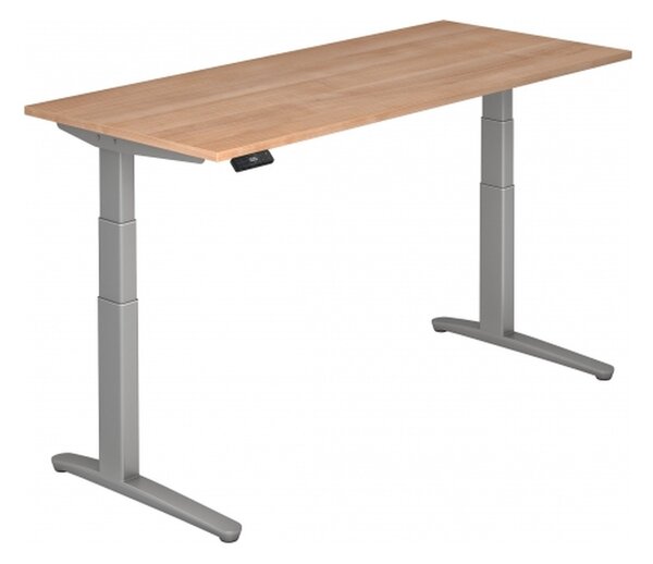 XBHM 19 SS - 180 x 80 in noce, regolabile elettricamente in altezza