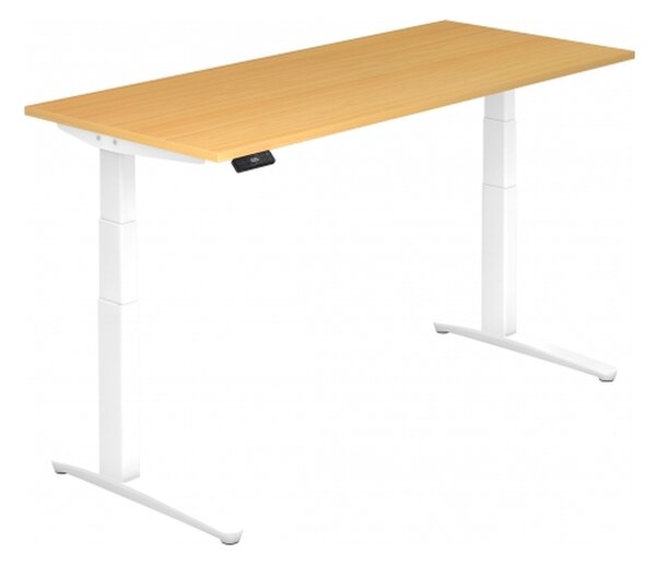 XBHM 19 WW - Faggio 180 x 80, regolabile elettricamente in altezza