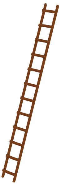 Scala da tetto in legno 12 pioli