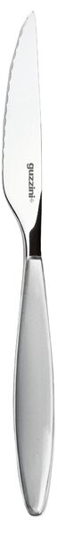 Coltelli da Bistecca FEELING set da 6 pezzi in acciaio 18.10 AISI304 22.5 Cm Grigio Cielo lavabili in lavastoviglie