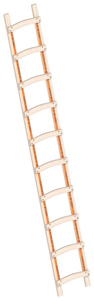 Layher 1046 Scala da carpentiere in legno a 10 pioli