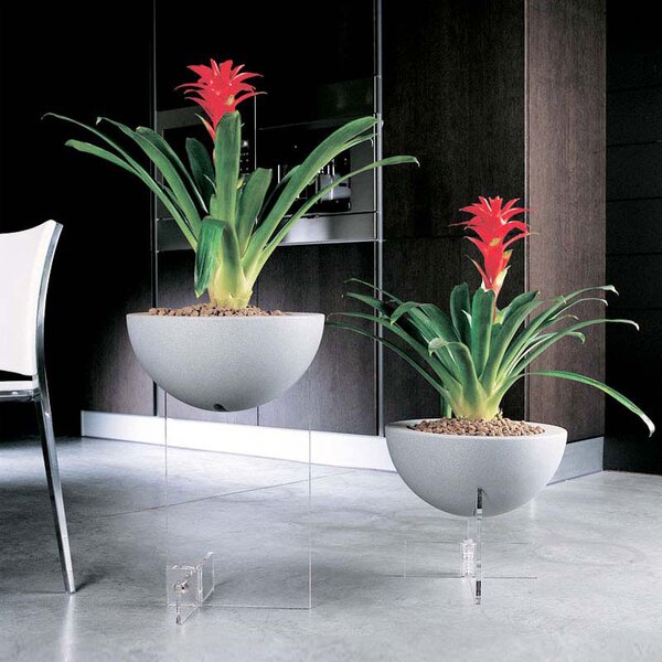 Fioriera singola con base Erbavoglio 1 Dimensioni �40xh34 cm base in Cristallo acrilico in Poliestere Stampato Bianco
