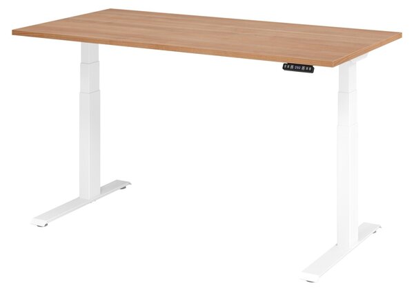 Scrivania regolabile in altezza XDKB | 2 motori | 120 - 180 cm | elettrica, dimensioni piano:160 x 80 cm, colore piano:noce, colore struttura:bianco