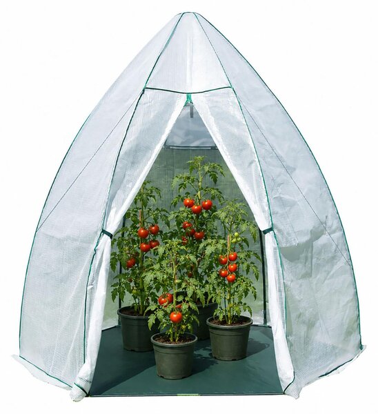 Tenda per svernamento Westmann e serra in plastica Avocado Bianco 250x250x250 cm