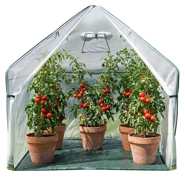 Tenda di svernamento Westmann e serra in foglio Peperoni Bianco 180x180x200 cm