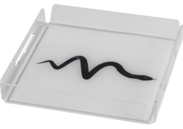 Vassoio quadrato like water mini snake, dimensioni h20x20x4 cm, spessore 5 mm