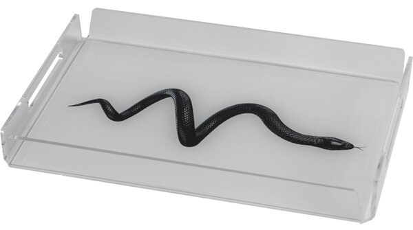 Vassoio small like water snake, dimensioni h32x22x3,5 cm, peso 0,44 kg, spessore 5 mm decorato