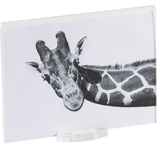 Photo frame small air trasparente incolore, spessore 10-2 mm