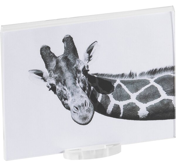 Photo frame medium air trasparente incolore, spessore 10-2 mm