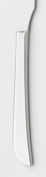Coltello da Bistecca manico Pieno UNIVERSALE 232 mm in acciaio inox 18.10 lucido spessore 3 mm