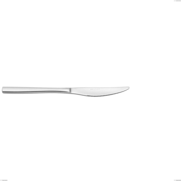 Coltello frutta Fashion sabbiato , 18/10 (AISI304) , spessore 3 mm Lunghezza 211 mm inox sabbiato