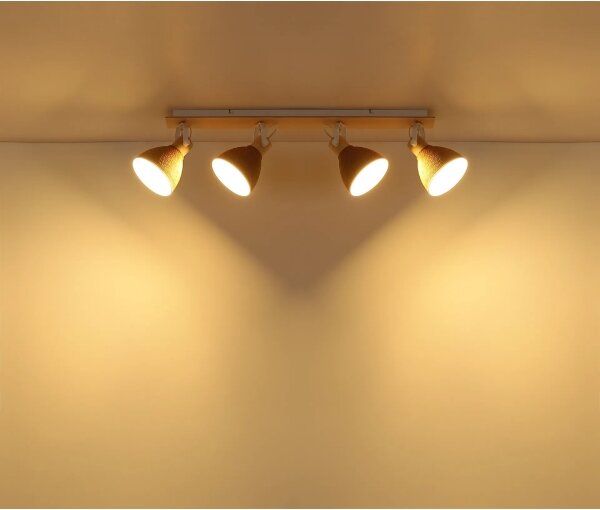 Globo 16466-4 - Faretto a soffitto LYNDON 4xE14/40W/230V