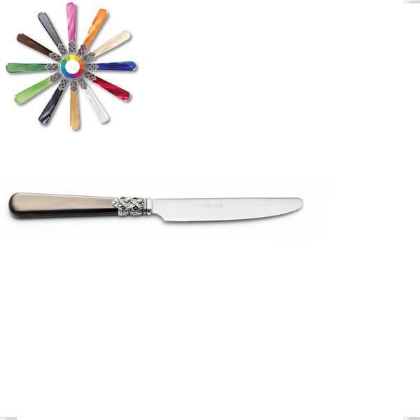 Coltello frutta Ginevra, (acciaio 18.10 aisi304), manico in nylon, Lunghezza 201 mm