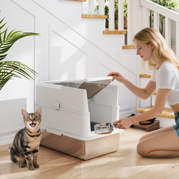 PawHut Lettiera per gatti chiusa in acciaio inossidabile, 60,2 x 40,2 x 43,7 cm, grigio chiaro | Aosom Italy