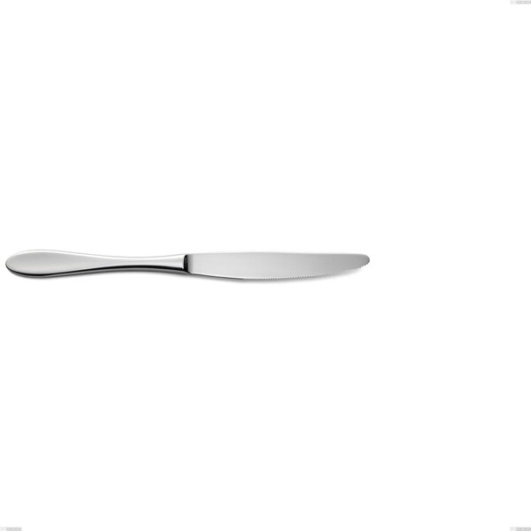 Coltello frutta oasi, Acciaio inox Aisi 304 Posate Lucide, spessore 2 mm, lunghezza 220 mm