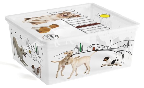 Scatola con coperchio bianca in plastica 40x34x17 cm C Box Style – KIS
