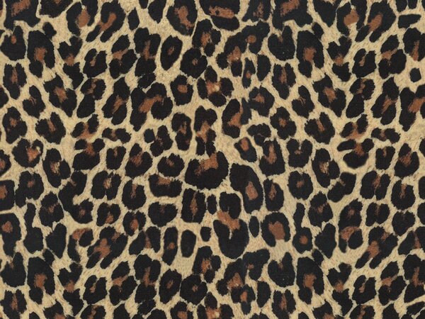 Wild cuscino in collezione Wild in microfibra impermeabile leopardo