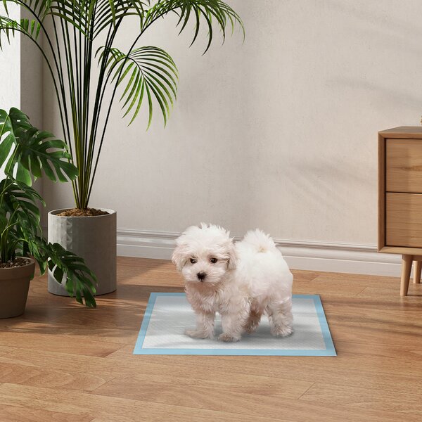 PawHut Set 100 Tappetini Igienici per Cani a 6 Strati in Tessuto non Tessuto, Carta e PE, 45x30 cm, Blu e Bianco