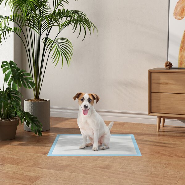 PawHut Set 100 Tappetini Igienici per Cani a 6 Strati in Tessuto non Tessuto, Carta e PE, 45x60 cm, Blu e Bianco