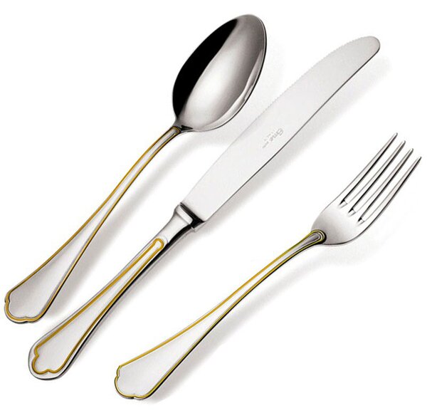 Servizio Posate DOMUS ORO 24 pezzi acciaio inox 1810 lucidato a specchio spessore 3 mm in astuccio regalo EME