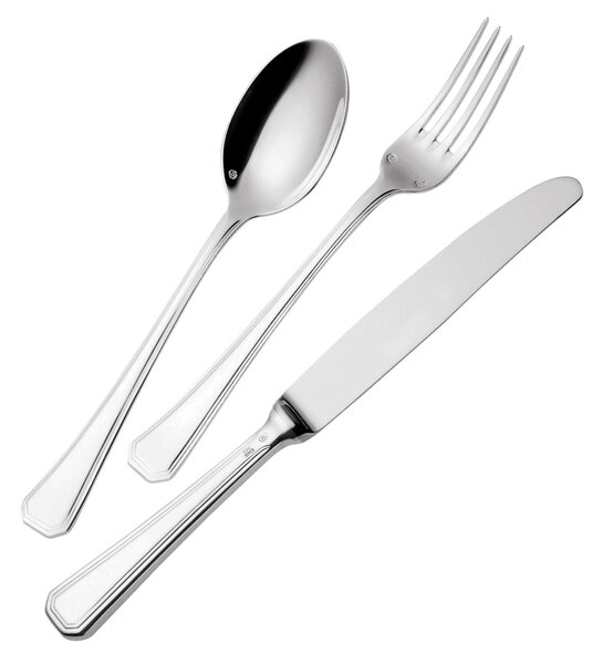 Servizio Posate 24 Pezzi SAVOIA ARGENTATO Acciaio Argento 8 micron