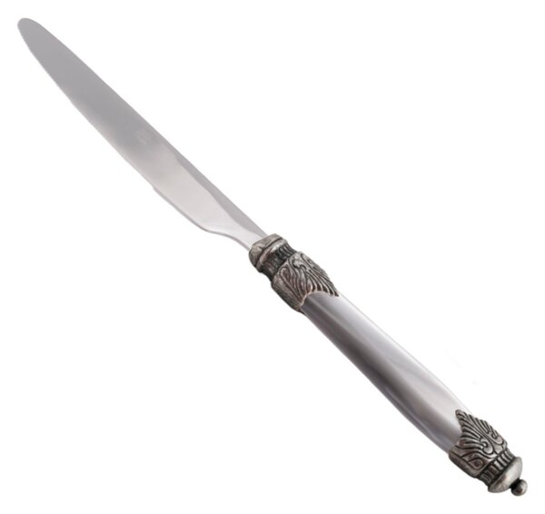 Coltello tavola Arianna Set di 6 Pezzi in acciaio 18.10 Lunghezza 24 cm manico in Plexiglas con ghiera Anticata lavabile in lavastoviglie Grigio