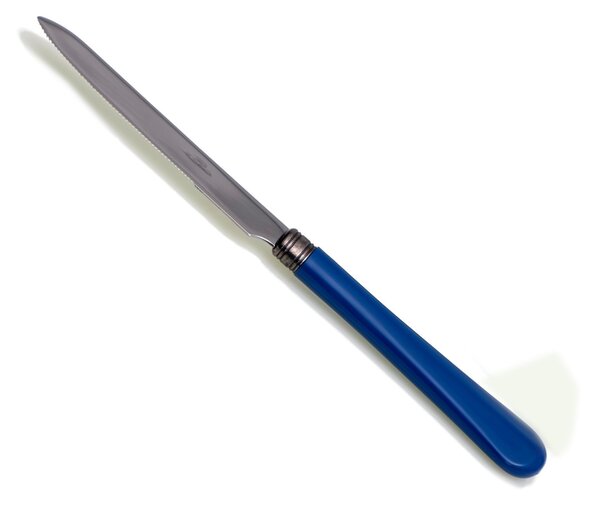 Coltello tavola seghettato MOD Giulietta Set di 6 Pezzi in acciaio 18.10 Lunghezza 23 cm manico in PBT lavabile in lavastoviglie colore Blu