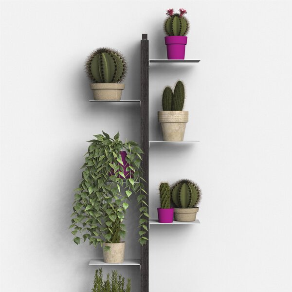 Porta piante Fissaggio a Parete Bifacciale ZIA FLORA 42x17xh 155 cm con struttura I in legno massello di faggio evaporato colore Nero Mensole in acciaio smaltato