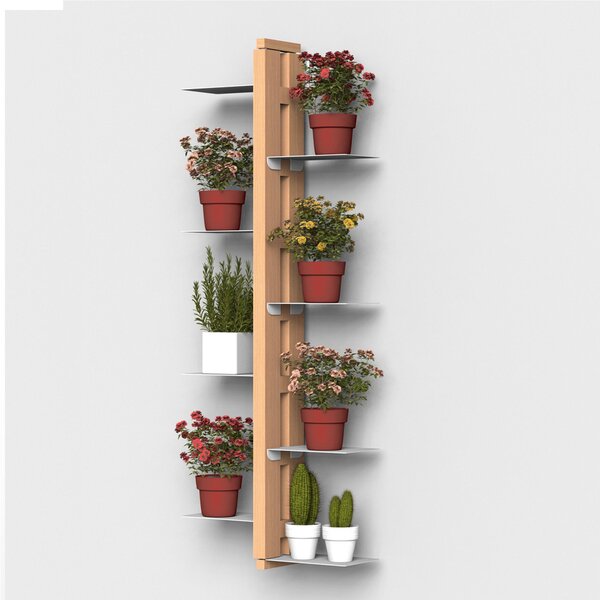 Porta piante Fissaggio a Parete Bifacciale ZIA FLORA 22x11xh 115 cm con struttura I in legno massello di faggio evaporato colore naturale Mensole in acciaio smaltato