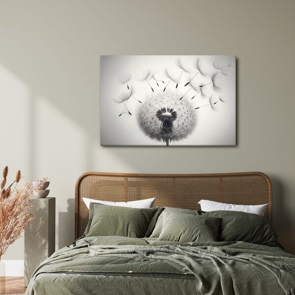 Quadro su tela – Soffione bianco e nero