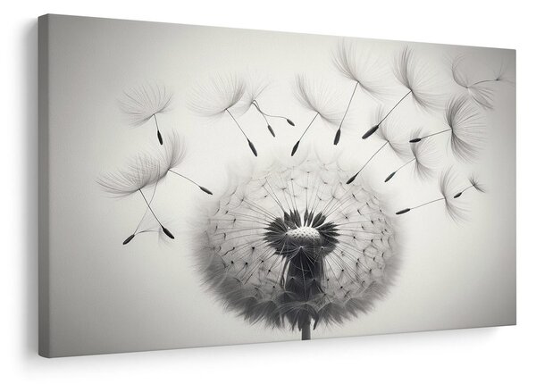 Quadro su tela – Soffione bianco e nero