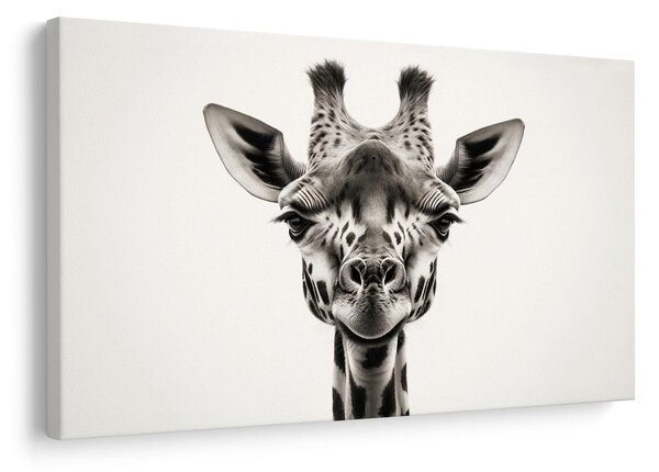 Quadro su tela – Ritratto di giraffa