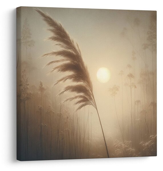 Quadro su tela – Erba della pampa nella luce del sole