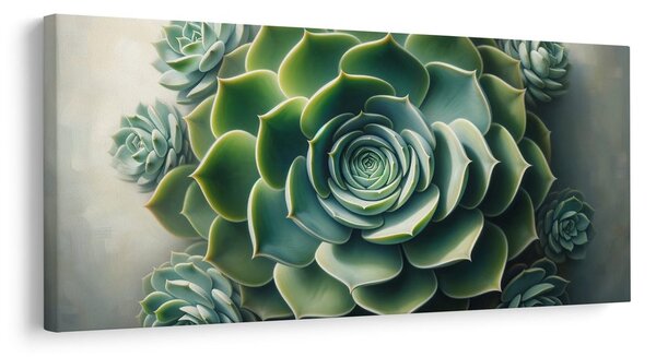 Quadro su tela – Bellezza della pianta grassa