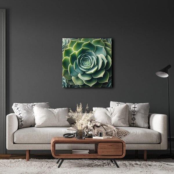 Quadro su tela – Spirale perfetta della pianta grassa