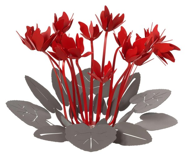 Centrotavola di design composto da svariati fiori di ciclamino CICLAMINO , dimensioni 38 x h 24 cm, colore Fango e Rosso